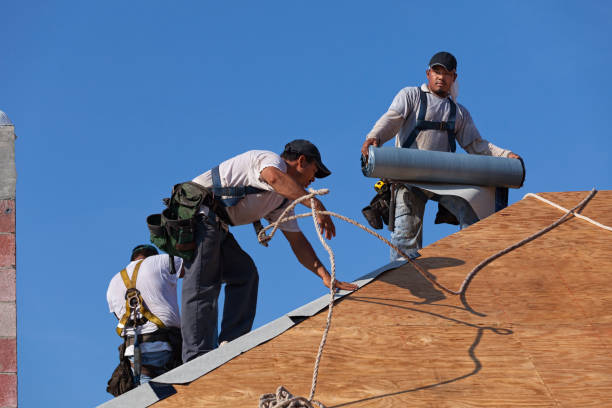 Best Roof Leak Repair  in Rochester, MI